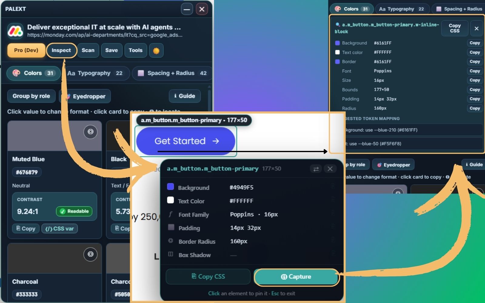 Palext feature one screenshot showing inspect and token capture UI